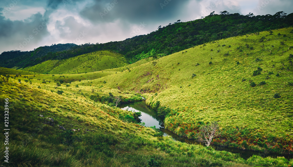Obraz premium The Horton Plains. Beautiful landscape. Sri lanka panorama
