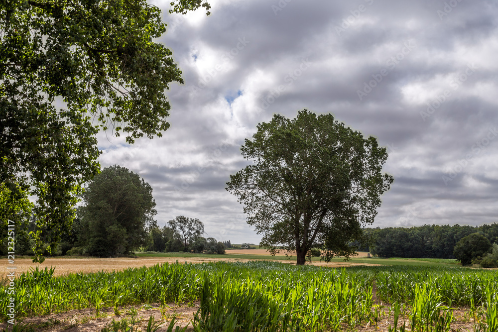 Fototapeta premium Parkentin