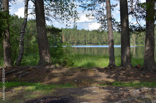 Natural landscape with a forest lake against a blue sky with white clouds