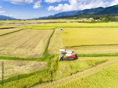 aerial view of Combine harvester machine with rice farm