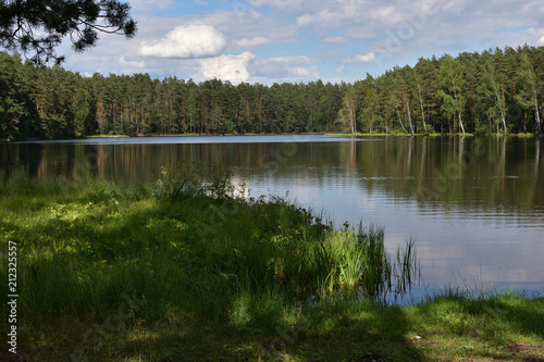 Natural landscape with a forest lake against a blue sky with white clouds