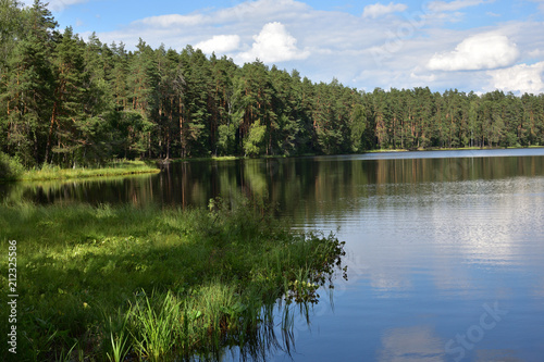 natural landscape with a forest lake on a background of blue sky with clouds