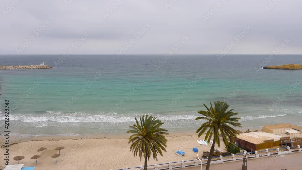 Beautiful landscape palm trees on sea coast and water waves on sandy beach seafront Beautiful landscape palm trees on sea coast and water waves on sandy beach seafront