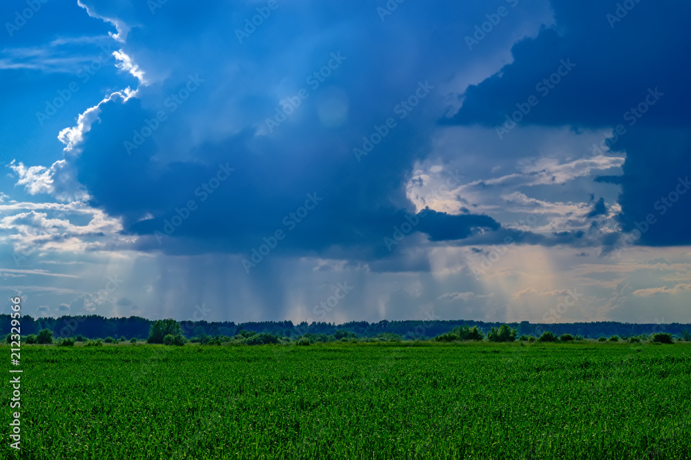 Summer landscape with rain over a green field at the horizon. Sun rays through dark blue clouds.