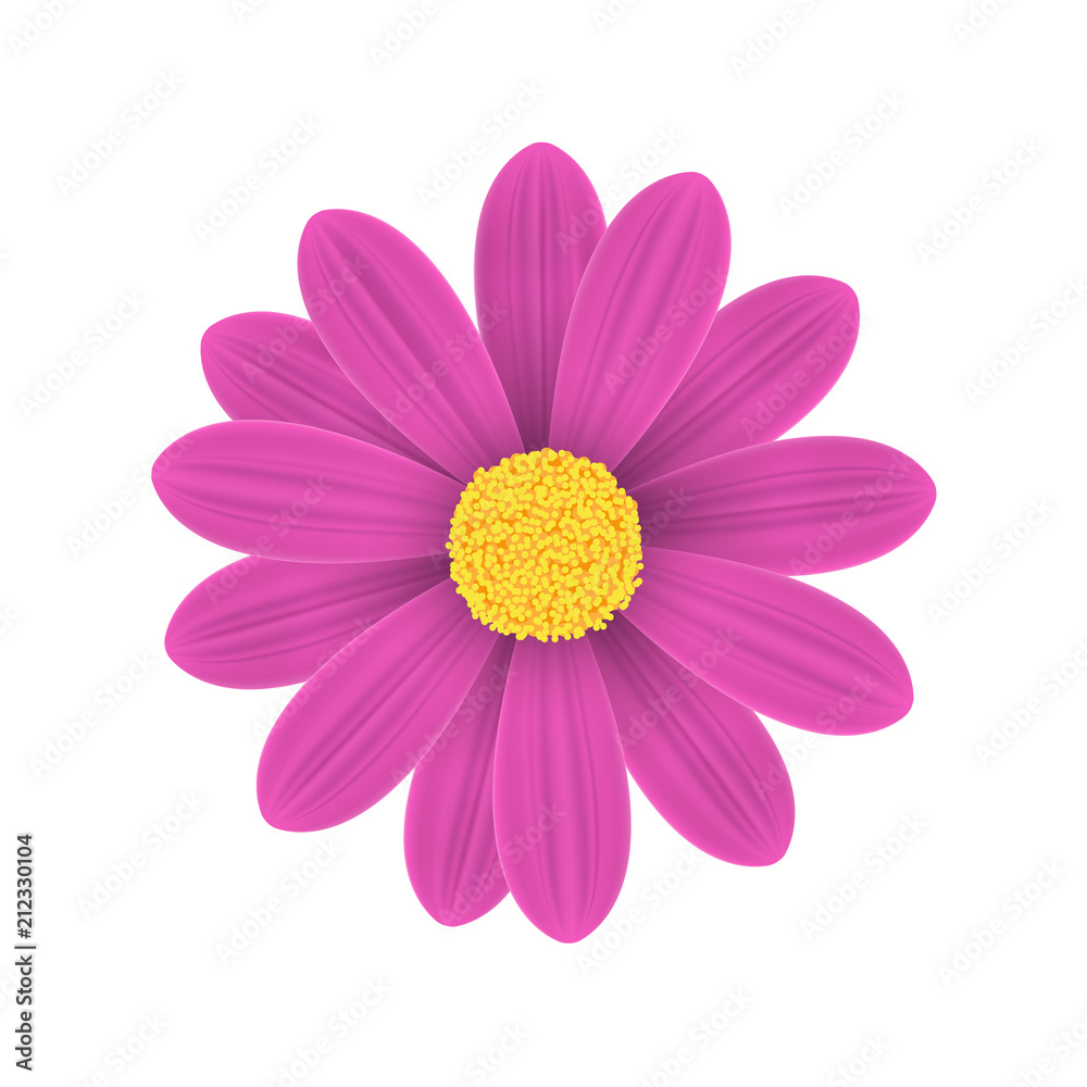 Vector pink flowers on a white background.