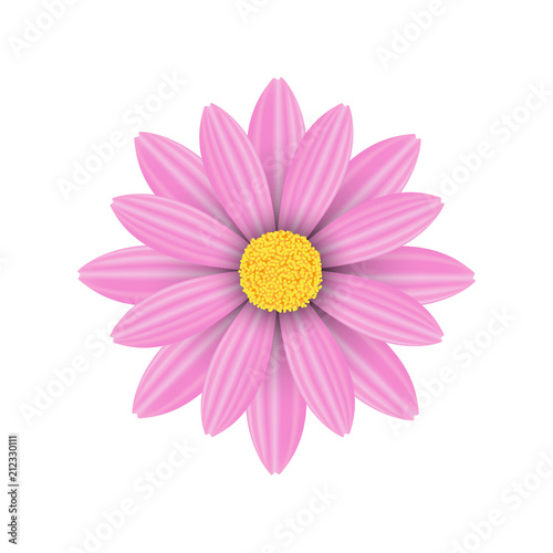 Vector pink flowers on a white background.