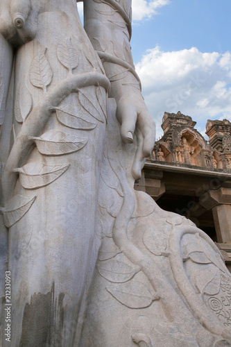 A gigiantic monolithic statue of Bahubali, also known as Gomateshwara, Vindhyagiri Hill, Shravanbelgola, Karnataka photo