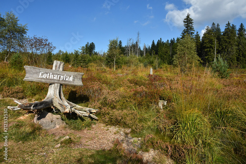 Bild auf Leinwand Lotharpfad im Schwarzwald; Baden Württemberg; Deutschland;