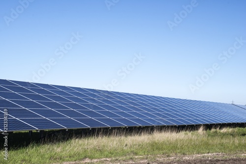 Solar panels in field