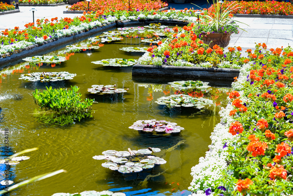 Fototapeta premium pond