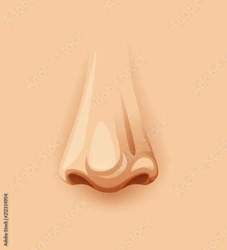 A Closeup Human Nose