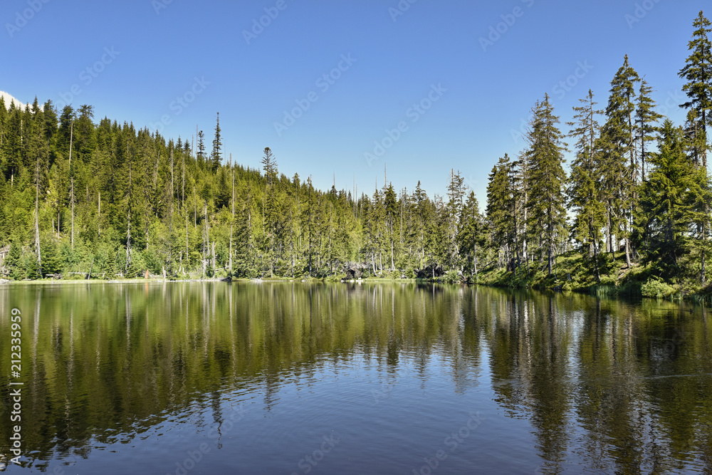 Prasily Lake, natural lake in the Czech Republic is located in the Sumava mountains
