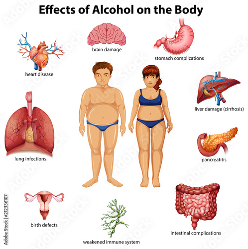 Effects of Alcohol on the Body