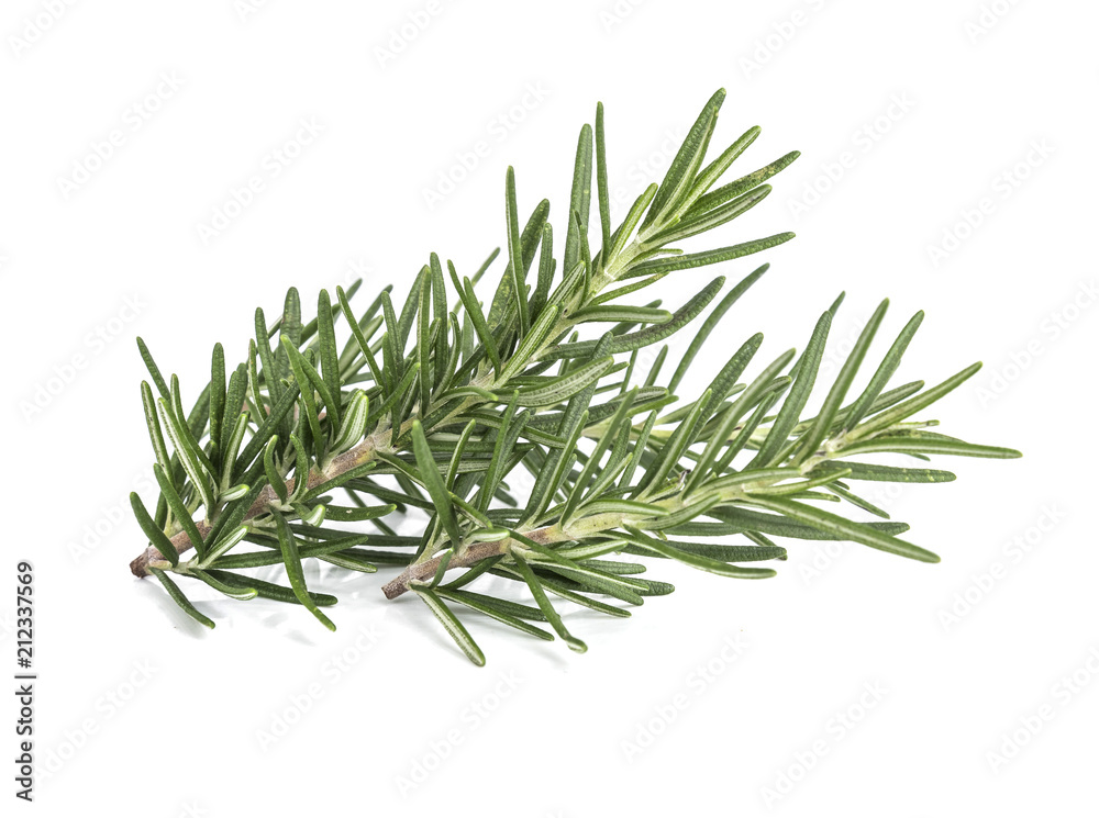 Fototapeta premium Rosemary isolated on white background
