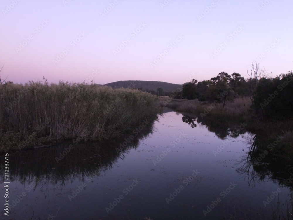 Swamp in the twighlight