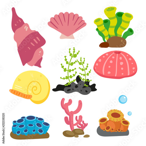 coral vector collection design