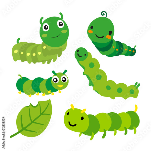 worm vector collection design