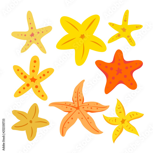 starfish vector collection design