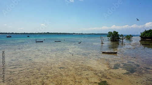 tropical wasini island photo