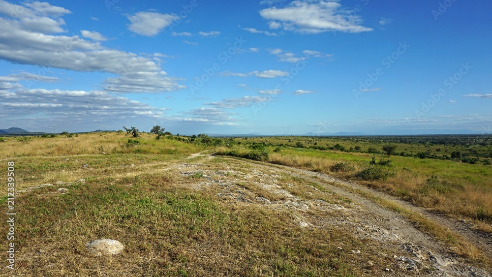 natural green landscape in kenya natural green landscape in kenya