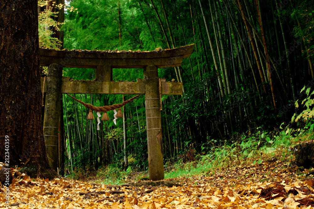 historical Torii in a forest in japan historical Torii in a forest in japan