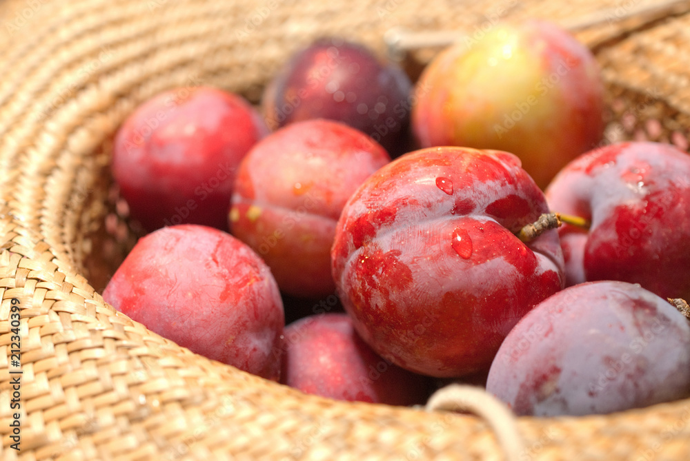 fresh red plums in straw hat, selective focus fresh red plums in straw hat, selective focus