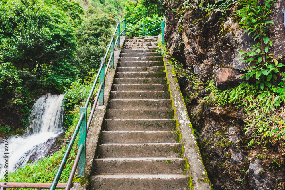 stairs through into the forest with waterfall stairs through into the forest with waterfall