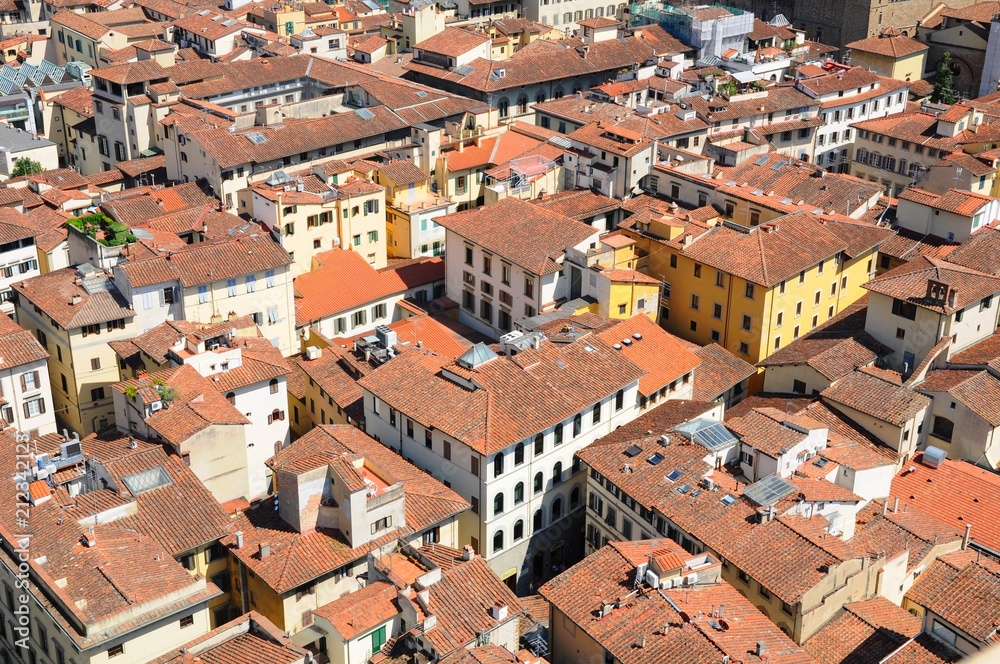 The City Town and landscape of Florence in Italy