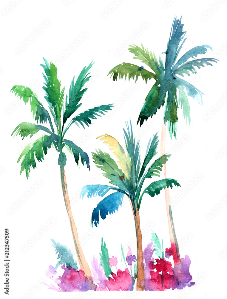 Obraz premium Palm trees. Watercolor illustration