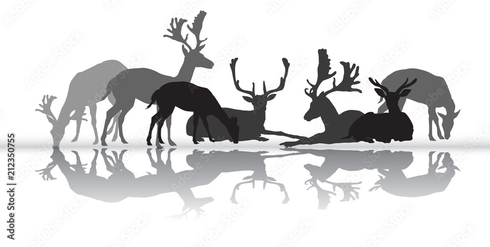 Naklejka premium Standing and lying deers silhouette with reflection