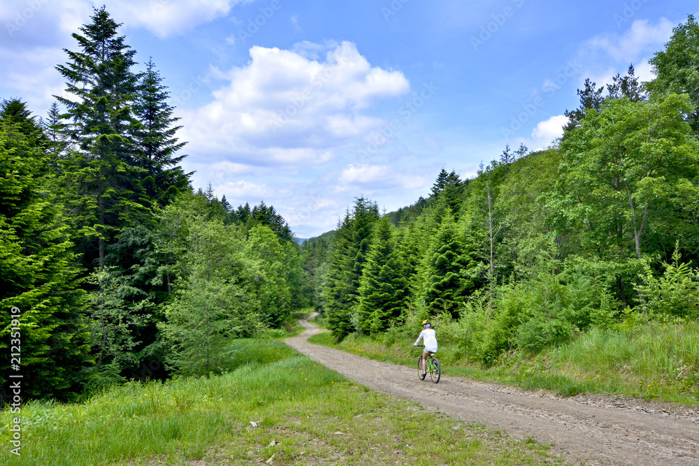 Healthy lifestyle - woman riding bicycle in forest road