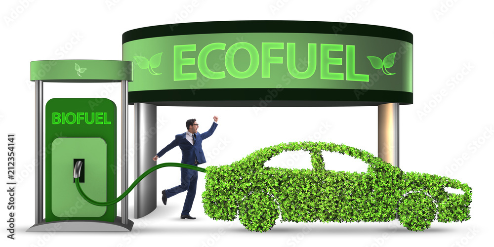 Concept of bio fuel and ecology preservation Concept of bio fuel and ecology preservation