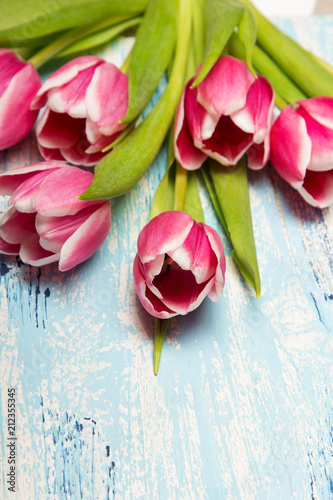 Pink tulip bouquet on blue wooden background  copy space. Beautiful flowers