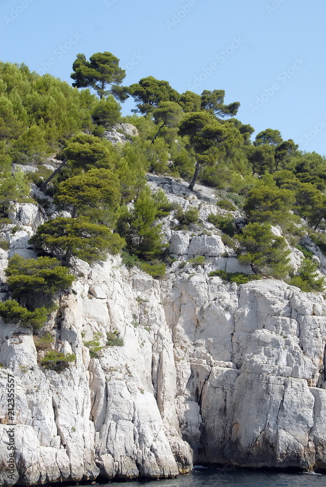 Calanques de Port-Pin vers Cassis, falaises et pins parasols, département des Bouches du Rhône, France
