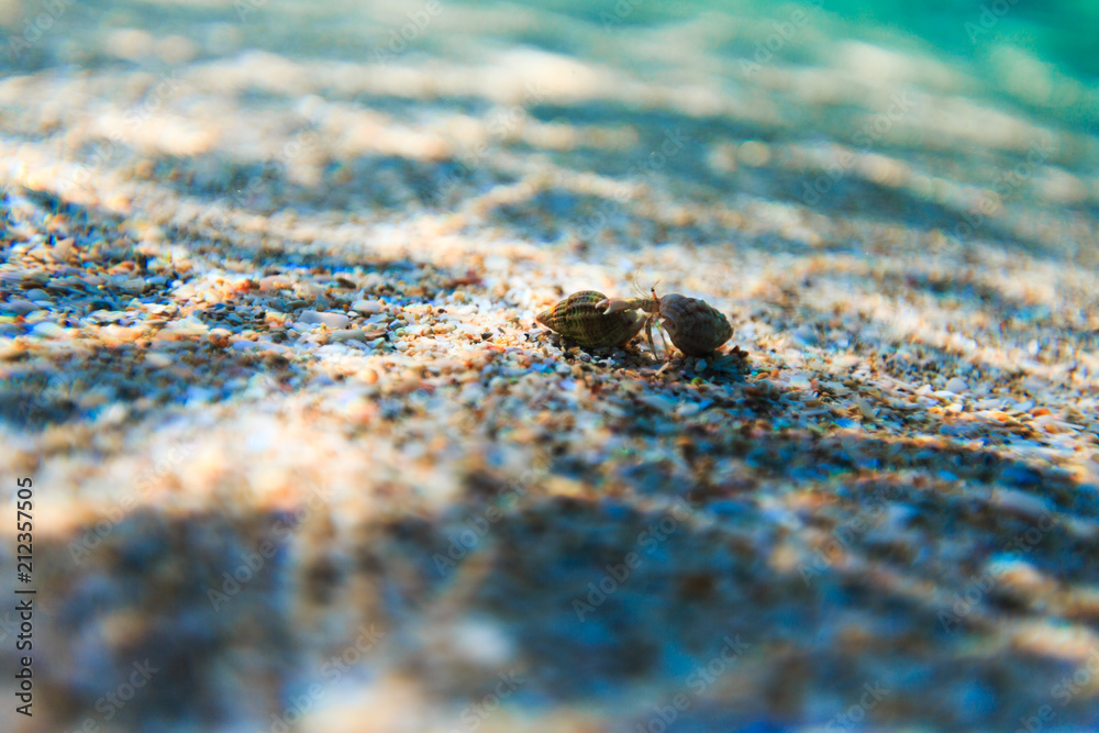 Sea reef and sea sand, beauty sea sand Sea reef and sea sand, beauty sea sand