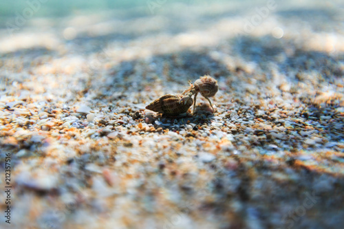 Sea reef and sea sand, beauty sea sand