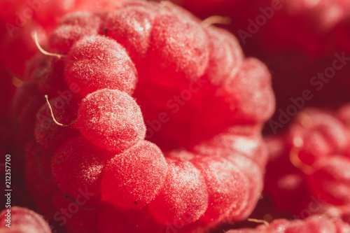 Ripe juicy red raspberry berry. Summer macro