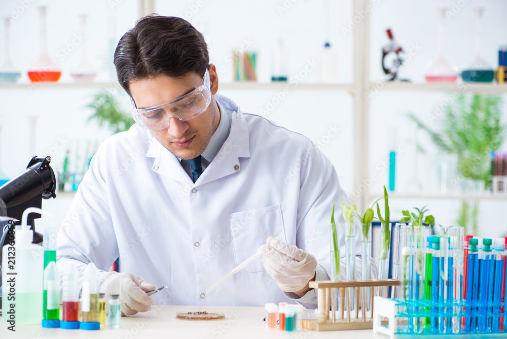 Male biochemist working in the lab on plants Male biochemist working in the lab on plants