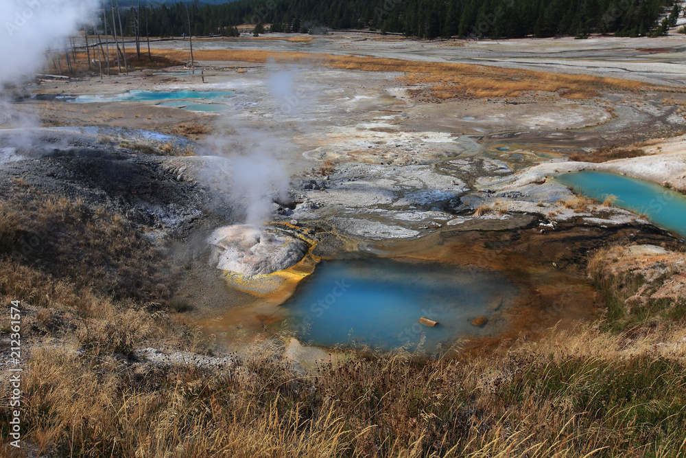Norris Geyser Basin, Yellowstone NP Norris Geyser Basin, Yellowstone NP