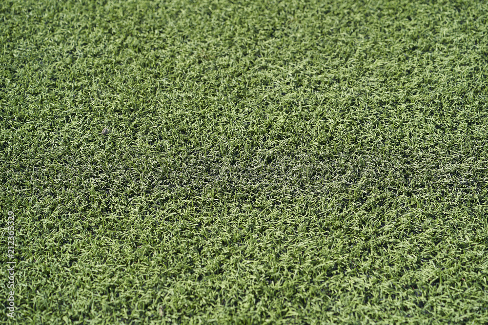 Fototapeta premium Artificial grass stadium in spain