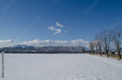 冬の畑 © ookinate23