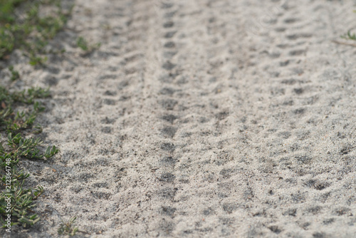 sandy path macro with bike tire trail photo