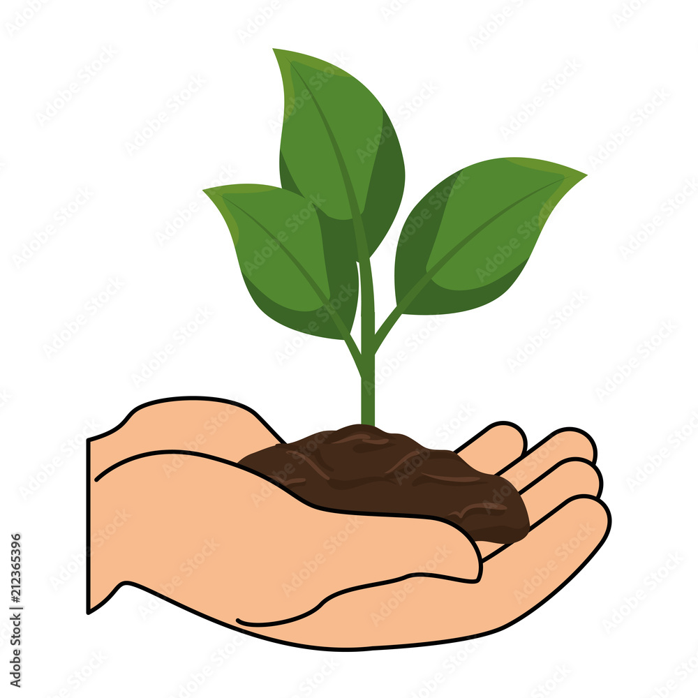 hands lifting plant and ground ecology vector illustration design hands lifting plant and ground ecology vector illustration design