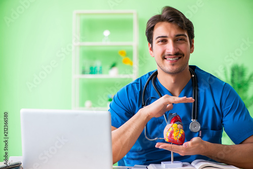 Doctor student explaining heart problems
