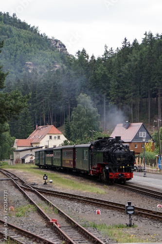 Oybin /Germany – 06.14.2018: steam locomotive arrives at the station of the Oybin resort, vertical image