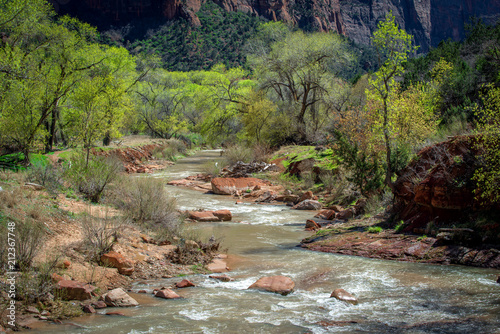 Virgin River, Zion National Park photo
