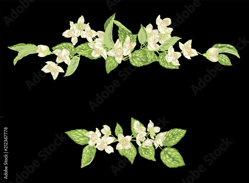 Headline template decor element with branches of jasmine