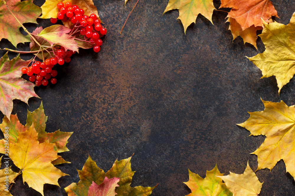 Autumn motive. Autumn background with autumn maple red and orange leaves and berries on slate background. Top view flat lay background with copy space. Autumn motive. Autumn background with autumn maple red and orange leaves and berries on slate background. Top view flat lay background with copy space.