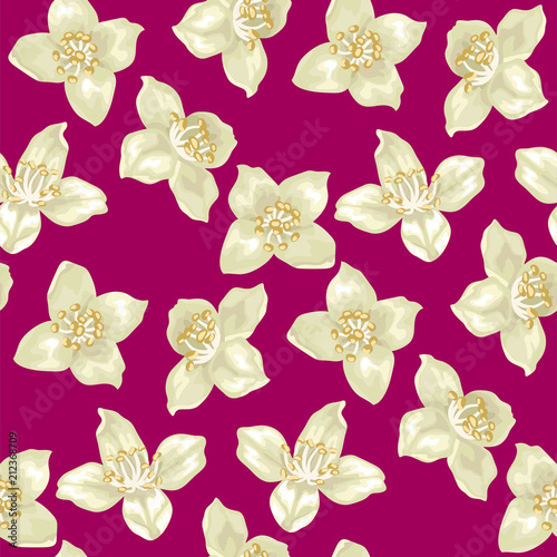 Seamless pattern in vector illustation with jasmine flowers