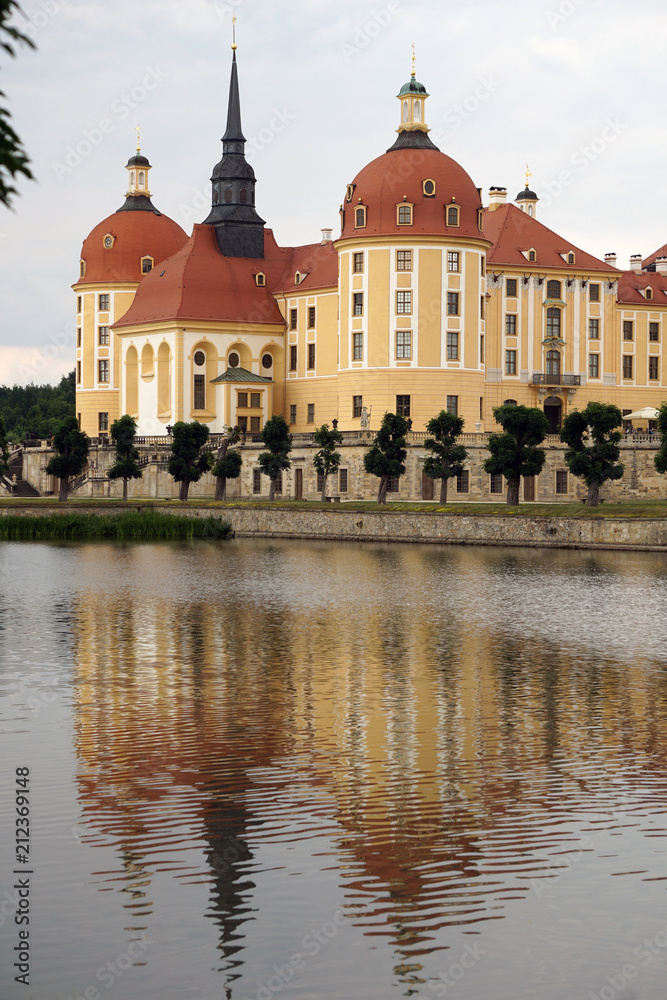 View of the beautiful Moritzburg Castle reflected in the water, vertical image, Saxony, Germany